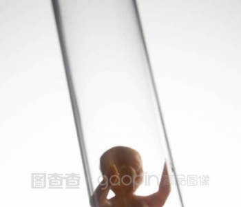 晴天霹雳！发生了胎停育怎么办？会影响下次生育吗？如何预防